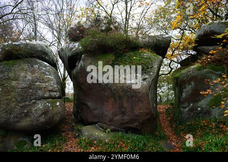 Drei große Felsen mit Moos, die darauf wachsen. Das Moos ist grün und braun. Die Felsen sind in einem Wald Stockfoto
