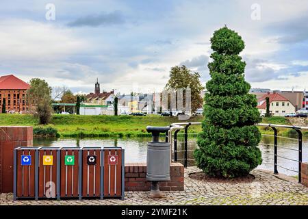 Stilvolle Behälter zur Mülltrennung neben einem Thuja auf einem Stadtpier. Umweltschutz. Stockfoto