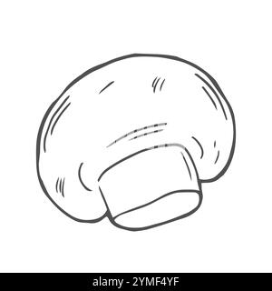 Champignons, Pilzset in handgezeichneter Form, Kritzelstil für die Küche, Kochblog, Bauerngeschäft, Paket, Poster Design Online Shop. Stock Vektor