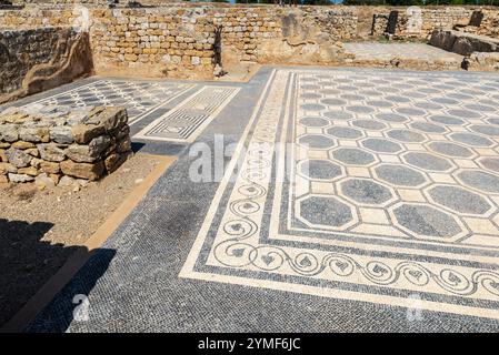 Mosaik im Domus der Ruines d Empuries, römische und griechische Ruinen an der Costa Brava, Girona, Katalonien, Spanien Stockfoto