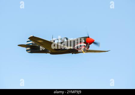 Curtiss P-40 Warhawk 2. Weltkrieg Kampfflugzeug mit Haifischmündung, auf dem Hood Aerodrome, Masterton, Neuseeland. Flügel über Wairarapa Airshow Stockfoto