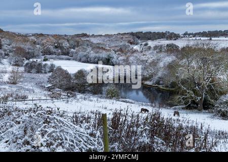 Blick hinunter zum Tong Park Dam und Cricket Ground, Baildon, Yorkshire, nach Schneefall. Bäume sind mit Schnee bedeckt, Pferde grasen im Schnee. Stockfoto