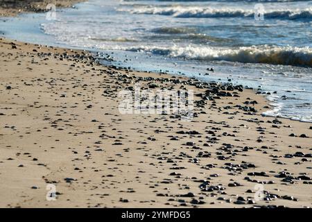 Nahaufnahme eines Sandstrandes mit Kieselsteinen und sanften Meereswellen, die unter natürlichem Sonnenlicht an Land fließen. Stockfoto