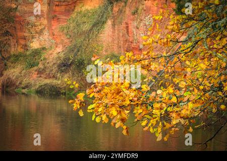 Goldener Herbstlaub überragen einen ruhigen Fluss mit einer leuchtend roten Sandsteinklippe im Hintergrund, die saisonale Schönheit zeigt. Stockfoto