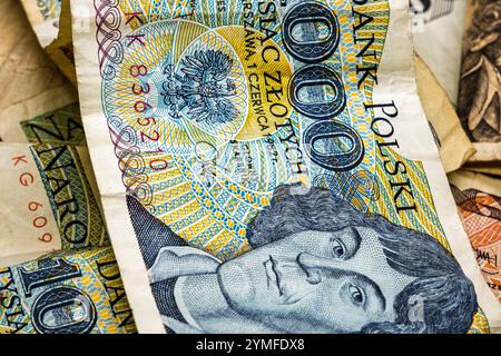 Detaillierte Makroansicht einer polnischen 1000-Zloty-Banknote mit komplizierten Mustern, lebhaften Farben und dem Porträt einer historischen Figur. Stockfoto