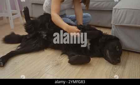 Eine Frau in einem Wohnzimmer streichelt sanft einen fröhlichen schwarzen labrador-Hund, der auf dem Holzboden liegt, ganz bequem zu Hause. Stockfoto
