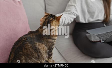 Eine Frau, die in einem Wohnzimmer sitzt, streichelt eine Katze, während sie einen Laptop benutzt, und zeigt eine gemütliche häusliche Szene drinnen in einer entspannten Umgebung. Stockfoto