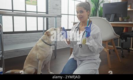 Eine junge Tierärztin untersucht einen Hund in einem hellen Klinikinnenraum. Stockfoto