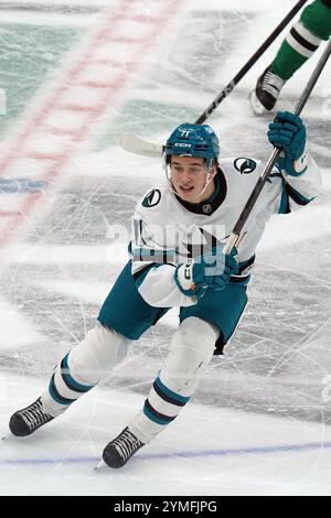 Dallas, Texas, USA. November 2024. Macklin Celebrini #71 von San Jose Sharks, die im American Airlines Center gegen die Dallas Stars der NHL auf dem Eis laufen. Endpunktzahl Dallas Stars 5 - 2 San Jose Sharks. Am 20. November 2024 in Dallas, Texas. (Kreditbild: © Javier Vicencio/eyepix via ZUMA Press Wire) NUR REDAKTIONELLE VERWENDUNG! Nicht für kommerzielle ZWECKE! Stockfoto