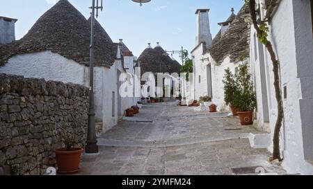 Malerische, gepflasterte Straße in alberobello, italien, gesäumt von traditionellen weiß getünchten Trullihäusern und grünen Töpfen an einem hellen, klaren Tag. Stockfoto