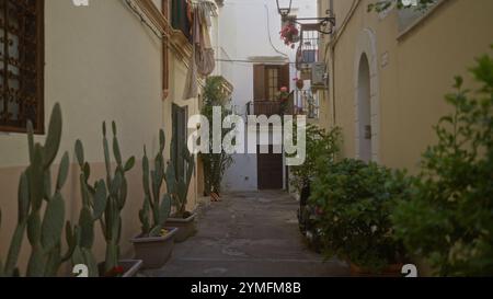 Charmante Gasse in gallipoli, apulien, italien mit Kakteen im Topf, blühenden Blumen und traditioneller Architektur, die das Wesen von salento widerspiegelt Stockfoto