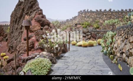 Verschwommener Blick auf einen unscharfen Kaktusgarten mit vulkanischen Felsformationen und verschiedenen Kakteen auf lanzarote Stockfoto