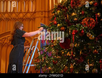 Windsor Castle, Großbritannien 21. November 2024. Die Besucher der State Apartments von Windsor Castle werden von prächtigen Weihnachtsvorführungen begrüßt. Das Highlight der diesjährigen Ausstellung sind die 20 Fuß hohe Nordmann-Tanne in der St. George's Hall und ein wunderschön dekorierter Weihnachtsbaum im Crimson Drawing Room Stockfoto