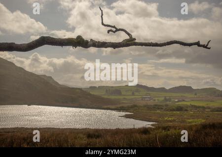 CWM Ystradllyn und Gorseddau und Prince of Wales Schieferbrüche Stockfoto