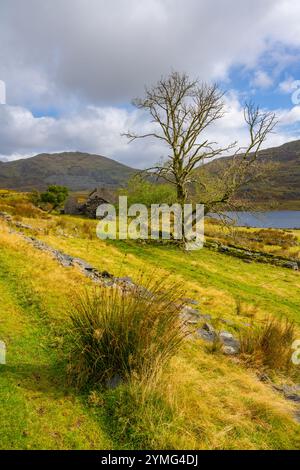 CWM Ystradllyn und Gorseddau und Prince of Wales Schieferbrüche Stockfoto