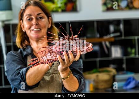 Löwenfische sind in der Karibik invasiv. Da sie trotz ihrer giftigen Wirbelsäule geschmackvoll zubereitet werden können, fördern Köche und Naturschützer ihren Konsum. Karibischer Kochworkshop mit Küchenchef Helmi Smeulders. Djonora Marthaweg, Willemstad, Curacao, Kòrsou Stockfoto