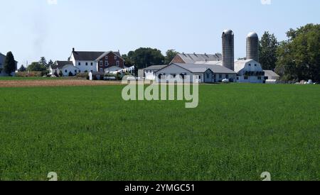 Ländliche Landschaft mit einem Bauernhof, grünes Feld im Vordergrund, bei Strasburg, im Lancaster County, Pennsylvania, USA Stockfoto