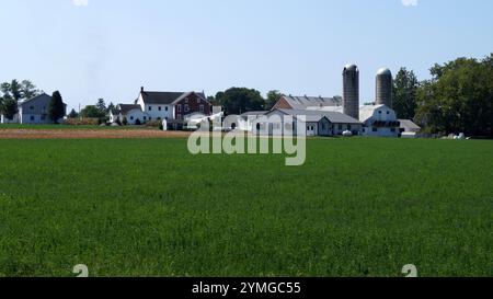 Ländliche Landschaft mit einem Bauernhof, grünes Feld im Vordergrund, bei Strasburg, im Lancaster County, Pennsylvania, USA Stockfoto