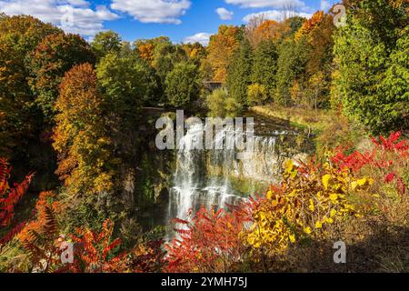 Websters Wasserfall im Herbst, Hamilton, Ontario, Kanada Stockfoto