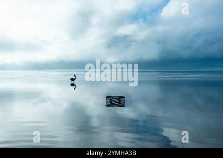 Minimalistischer Blick auf einen Pelikan und Krabbentopf Silhouetten bei Ebbe vor niedrigen Wolken, Carmila Beach, Queensland, QLD, Australien Stockfoto