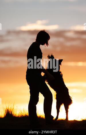 Frau mit Border Collie, springt und spielt Stockfoto
