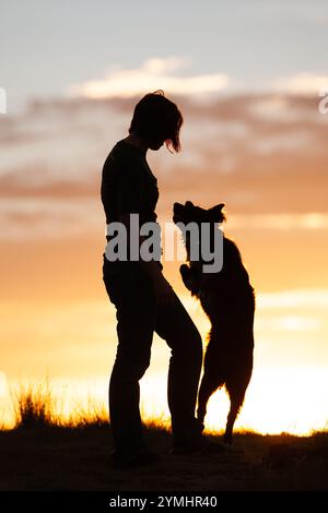 Frau mit Border Collie, springt und spielt Stockfoto