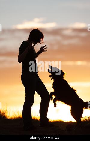 Frau mit Border Collie, springt und spielt Stockfoto