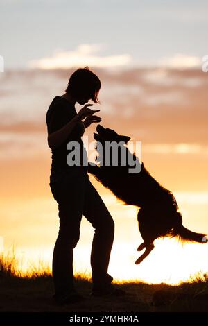 Frau mit Border Collie, springt und spielt Stockfoto