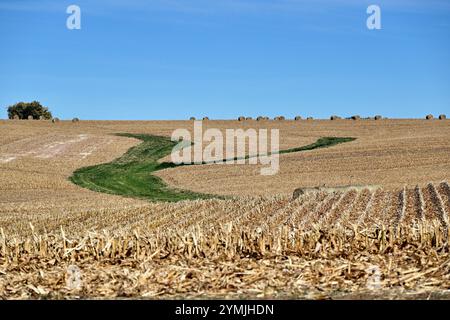 Chadwick, Illinois, USA. Muster entstehen durch kürzlich geerntete Maisfelder im ländlichen Nordwesten von Illinois. Stockfoto