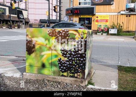 Grapes Wandbild auf einem Verkehrskontrollkasten an der Clark Avenue in Niagara Falls, Ontario, Kanada Stockfoto