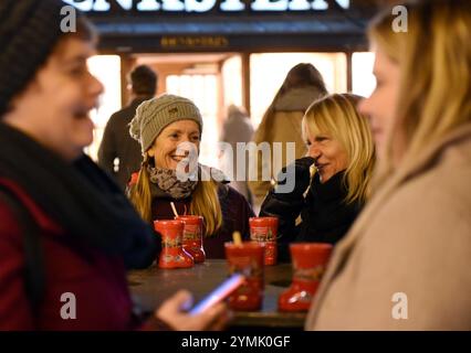 Wien, Österreich. November 2024. Am 21. November 2024 unterhalten sich die Leute auf dem Weihnachtsmarkt am Stephansplatz in Wien. Quelle: Han Lu/Xinhua/Alamy Live News Stockfoto