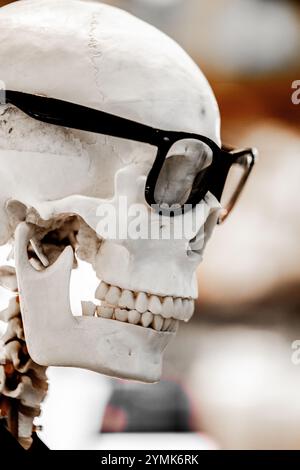 Der menschliche Schädel trägt eine Sonnenbrille an Halloween Stockfoto