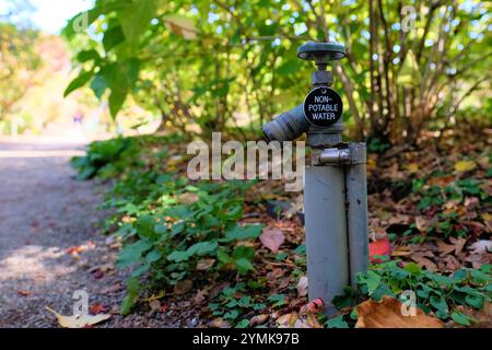 Kennzeichnung „nicht trinkbares Wasser“ auf einem Hahn, der Wasser abgibt, das nicht zum Trinken bestimmt ist; aufbereitetes und wiederverwertetes Wasser, das für den menschlichen Gebrauch nicht sicher ist. Stockfoto