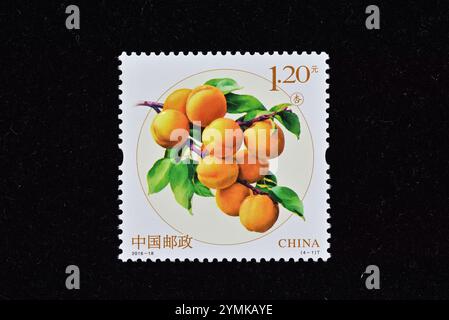 CHINA - CA. 2016: In China gedruckte A-Briefmarken zeigen Früchte (2), ca. 2016 Stockfoto