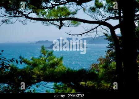 Yangyang County, Südkorea - 3. November 2024: Ein malerischer Blick vom Hajodae Pavillon nach Süden in Richtung Jodo Island, eingerahmt von Kiefern mit dem Stockfoto
