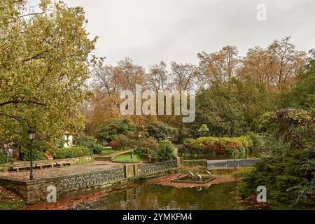 Goldene Herbstblätter schweben sanft auf einem ruhigen Teich und schaffen eine ruhige und malerische Szene von saisonaler Schönheit und Reflexion. Stockfoto