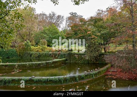 Goldene Herbstblätter schweben sanft auf einem ruhigen Teich und schaffen eine ruhige und malerische Szene von saisonaler Schönheit und Reflexion. Stockfoto