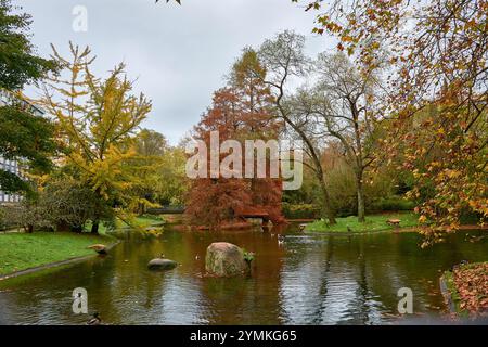 Goldene Herbstblätter schweben sanft auf einem ruhigen Teich und schaffen eine ruhige und malerische Szene von saisonaler Schönheit und Reflexion. Stockfoto