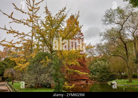 Goldene Herbstblätter schweben sanft auf einem ruhigen Teich und schaffen eine ruhige und malerische Szene von saisonaler Schönheit und Reflexion. Stockfoto