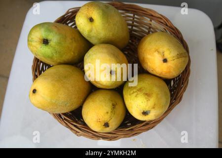 Dasheri Mango, Sorte der Mango (Mangifera indica), ausgestellt. Stockfoto