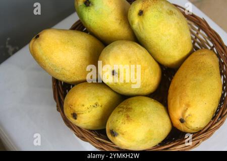 Dasheri Mango, Sorte der Mango (Mangifera indica), ausgestellt. Stockfoto