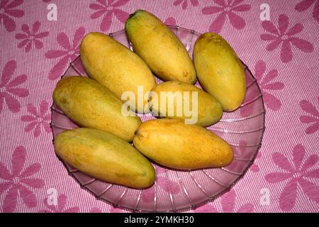 Dasheri Mango, Sorte der Mango (Mangifera indica), ausgestellt. Stockfoto