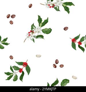 Rote reife Beeren an den Zweigen. Kaffeebaum. Nahtloses Muster. Aquarellabbildung. Weiße Blüten und grüne Blätter auf Zweigen, gerösteter Kaffee Stockfoto