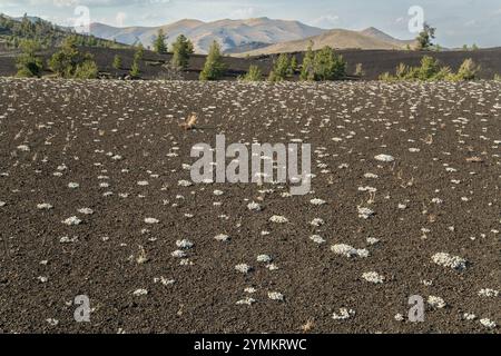 USA, Idaho, Arco, Great Basin, Craters of the Moon National Monument, Stockfoto