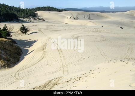 USA, Oregon, Oregon Coast, Jessie M. Honeyman Memorial State Park Stockfoto