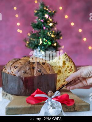 Eine weibliche Hand greift ein Stück Panettone, eine typische italienische Weihnachtskuche, mit dem Weihnachtsbaum im Hintergrund Stockfoto