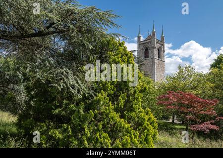 Suisse, Schweiz, Waadt, Schweiz, Waadt, Vevey, Ville, Stadt, Stadt, St. Martin, Saint-Martin, Eglise, Kirche, Kirche Stockfoto