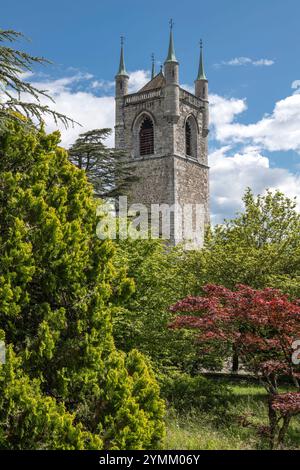 Suisse, Schweiz, Waadt, Schweiz, Waadt, Vevey, Ville, Stadt, Stadt, St. Martin, Saint-Martin, Eglise, Kirche, Kirche Stockfoto