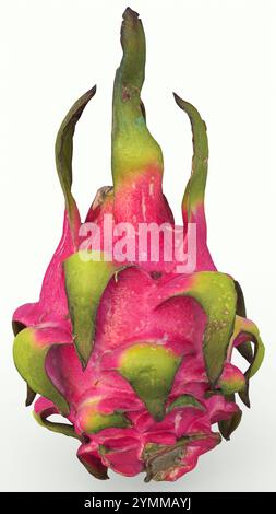 drachenfrucht mit weißem Hintergrund Stockfoto