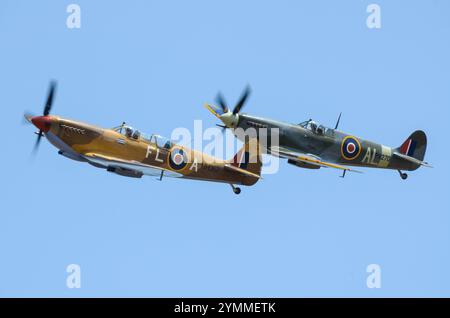 Der zweite Weltkrieg RAF Supermarine Spitfire Flugzeuge fliegen auf der Wings Over Wairarapa Airshow am Hood Aerodrome in Masterton, Neuseeland. Zwei Sitze, einzeln Stockfoto